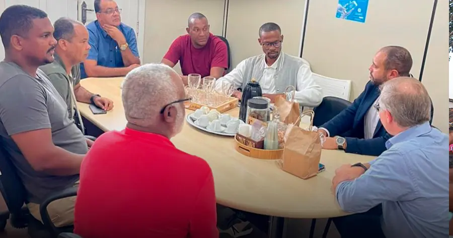 Investimento em energia renovável prevê plantio de macaúba e geração de empregos em Terra Nova